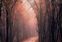 还要调整!阿根廷主帅：有些球员有伤病 或再改名单.