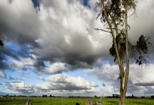 PG娱乐官网：科尔：波波是我生命中最重要的人之一 我今天去看过他&他很好.