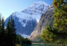 提前获世界杯门票 阿根廷4比1大胜巴西锦上添花.